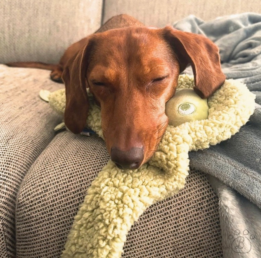 Dog lying on a couch with a green plush toy