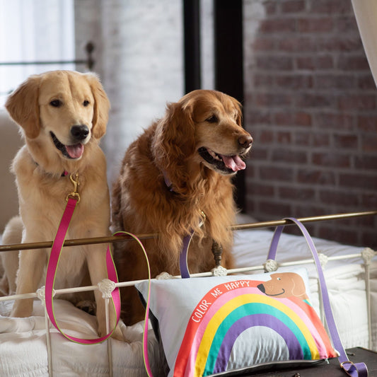 Pillow: Color Me Happy - Cover + Insert